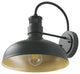 Unique Gooseneck Ourdoor Dusk to Dawn Motion Sensor Barn Light