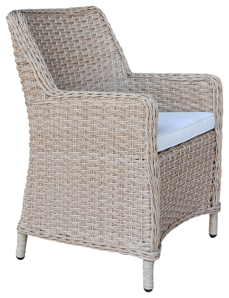 Outdoor Wicker Patio Dining Chair with Cushion
