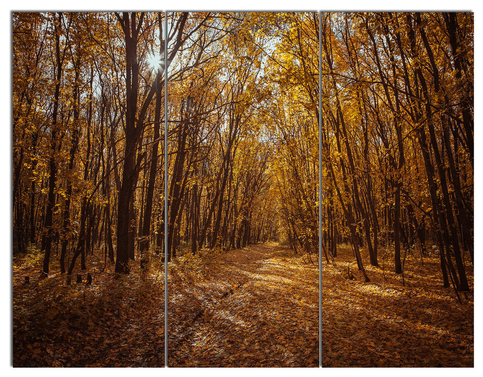 Sunset in Yellow Autumn Forest, Modern Forest Canvas Art, 36x28, 3 Panels