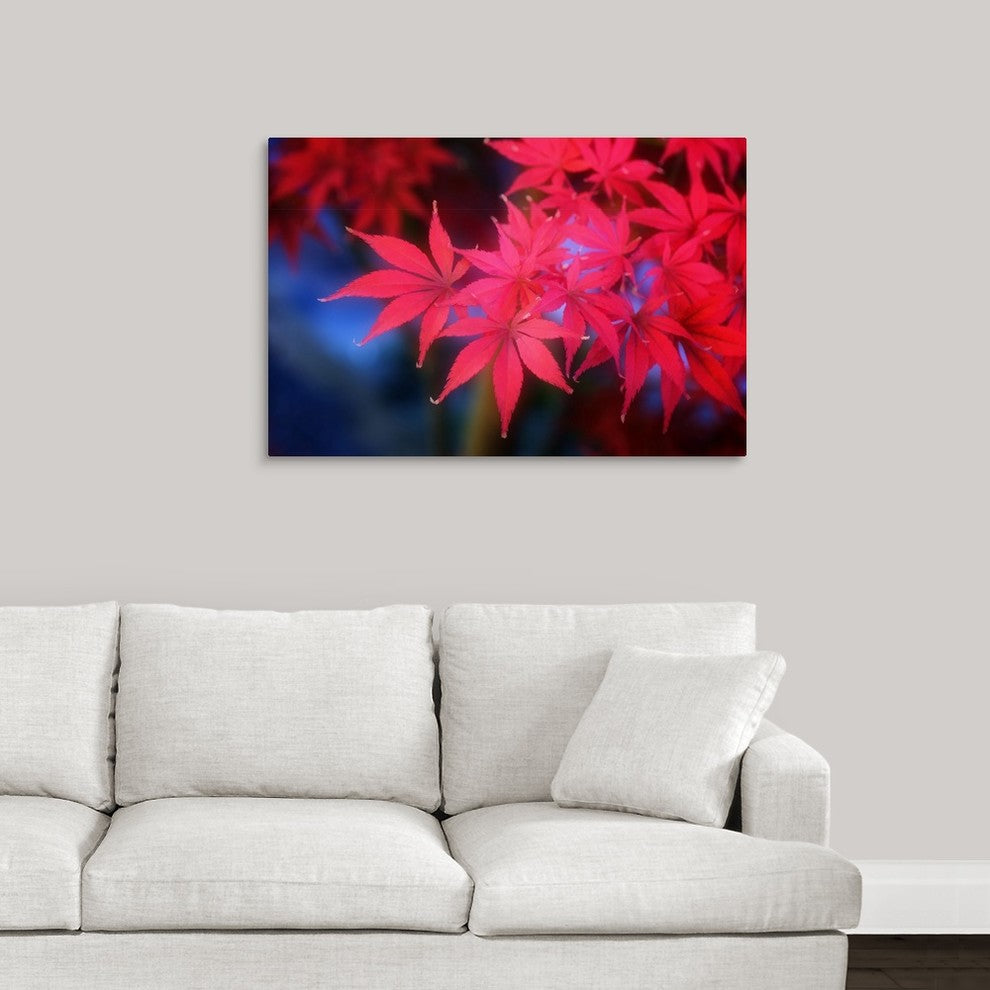 "Before The Winter" Wrapped Canvas Art Print, 36"x24"x1.5"