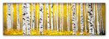 'PanorAspens Yellow Floor' Canvas Art by Roderick Stevens