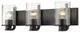 Zlite 492-3V-MB 3-Light Vanity, Clear Seedy