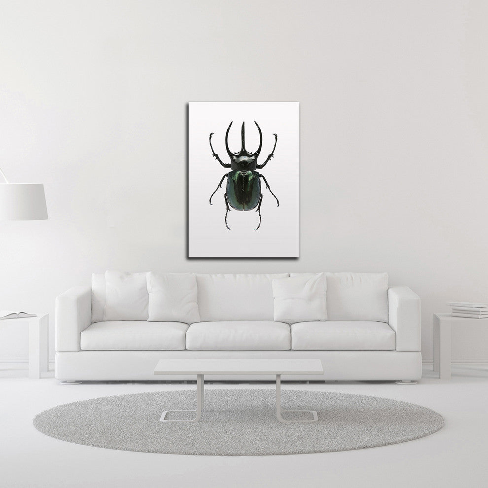 Beetle 2 by Design Fabrikken, Print on Canvas, 25"x35"