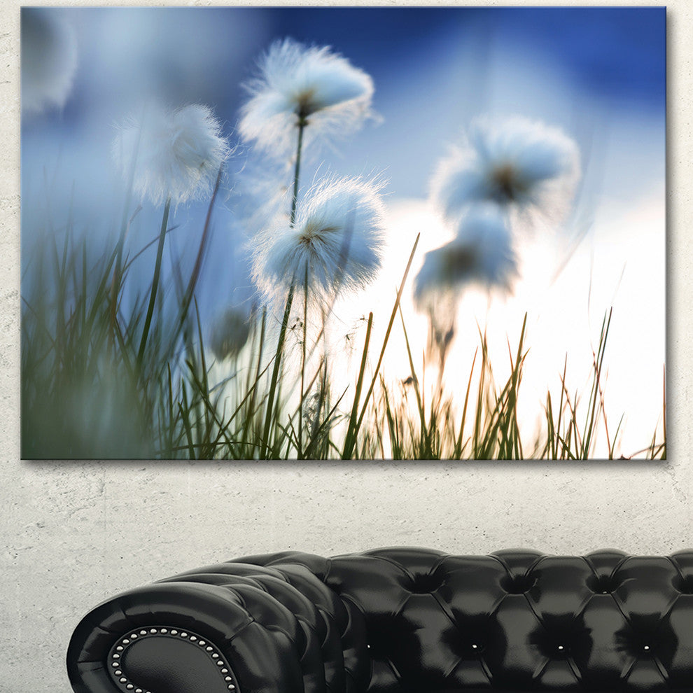 Beautiful Polar White Flowers, Floral Canvas Art Print, 40"x30"