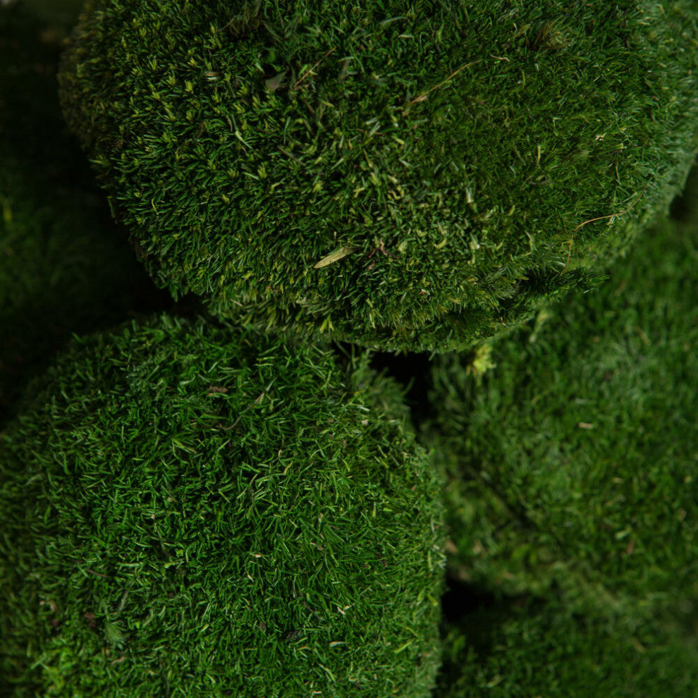 Vickerman Natural Botanicals 1  lb. Apple Green Pole Moss.