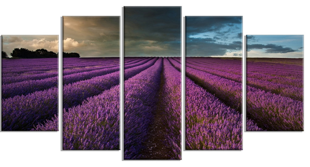 Lavender Field and Dramatic Sky, Floral Canvas Art Print, 60"x32", 5 Panels