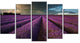Lavender Field and Dramatic Sky, Floral Canvas Art Print, 60"x32", 5 Panels