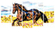 "Ride Free Horse" Canvas Painting