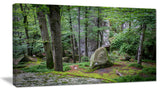 "Dense Moss Forest in Green" Landscape Art Print Canvas, 32"x16"