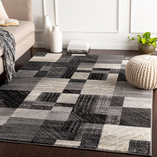 Surya Riley RLY-5102 6'7"x9'6" Rug, Black/Medium Gray/White