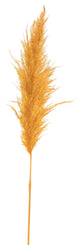 Vickerman 46" Dried Pampas Grass, Aspen Gold
