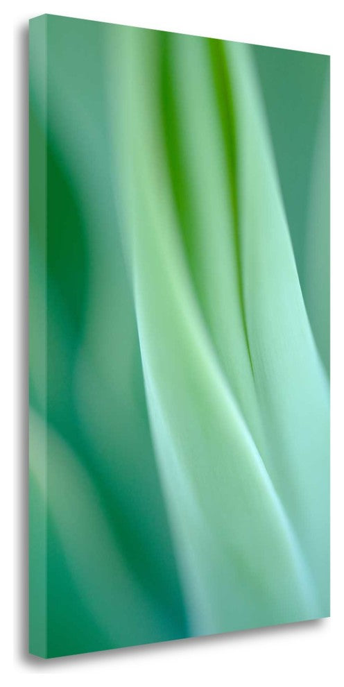 "Agave 3" By Jonathan Nourok, Giclee Print on Gallery Wrap Canvas, Ready to Hang