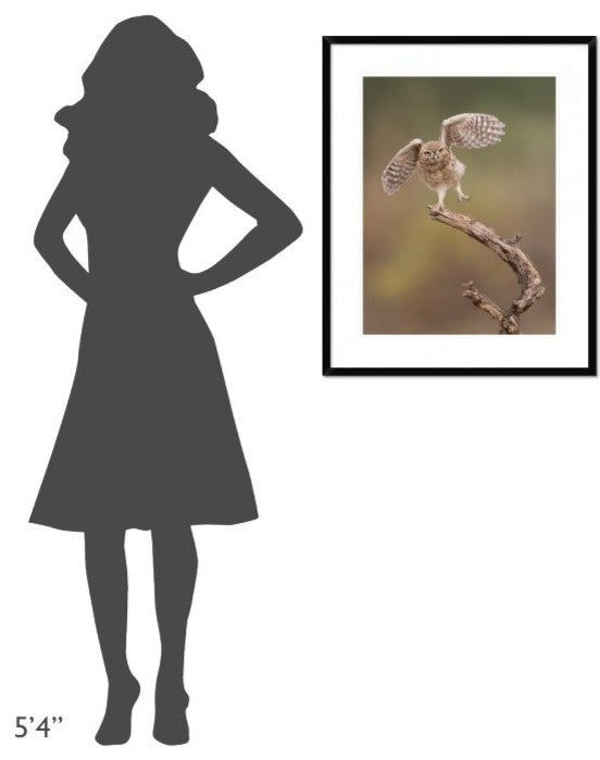 "I'm Just A Gigalo" Framed Digital Print by Amnon Eichelberg, 26"x32"