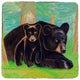Bear Cub Coaster - 3 Sets of 4 (12 Total)