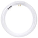 Sunlite 30 Watt T9 Circline, 4-Pin Base, Super White