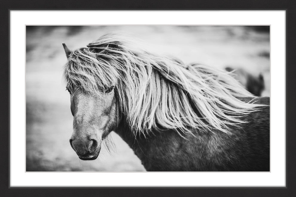 Marmont Hill, "Beautiful Mane" Framed Painting Print, 24x16