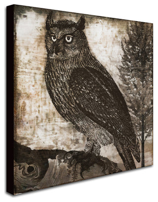 Color Bakery 'Owl 2' Canvas Art, 24"x24"