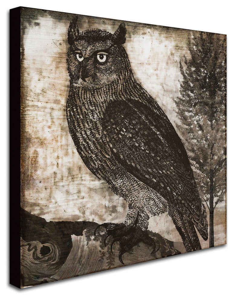Color Bakery 'Owl 2' Canvas Art, 24"x24"