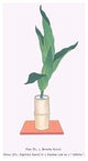 Haran (Five Aspidistra Leaves) in Bamboo Vase - Gallery Wrapped Canvas Art