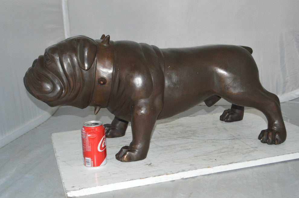 Bulldog Bronze Statue -  Size: 31"L x 14"W x 15"H.
