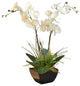 Orchids with Fern and Foliage, White