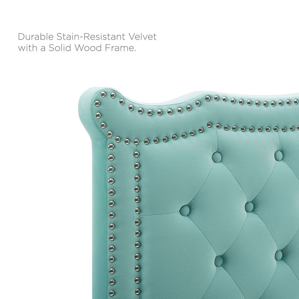 Platform Bed Frame, Nailhead, Queen Size, Blue, Velvet, Modern, Guest Suite