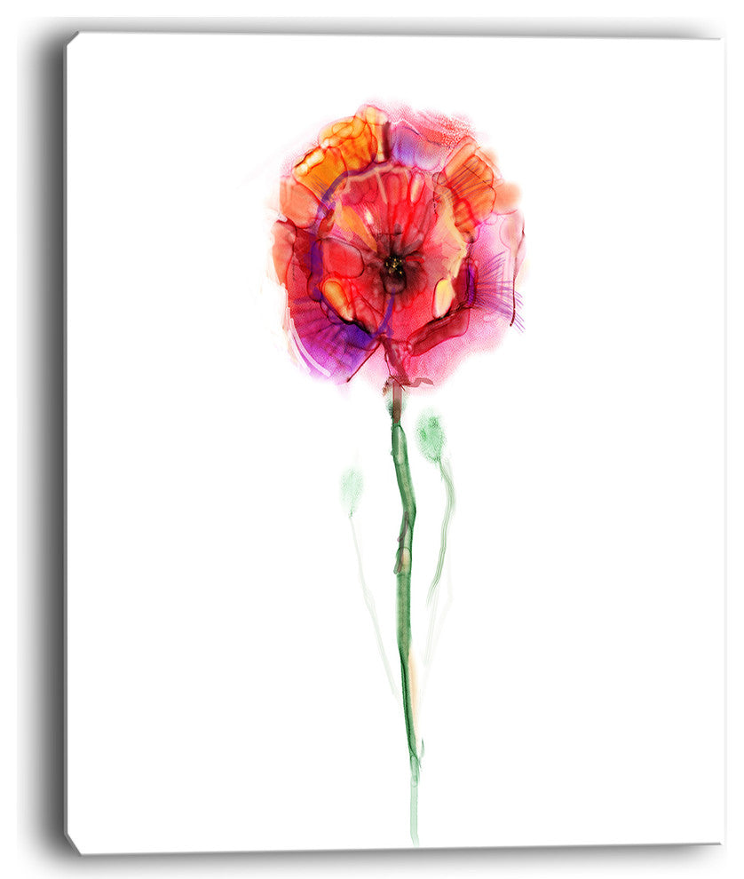 "Isolated Poppy Flower in Full Bloom" Flower Canvas Wall Art, 12"x20"