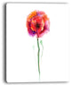 "Isolated Poppy Flower in Full Bloom" Flower Canvas Wall Art, 12"x20"