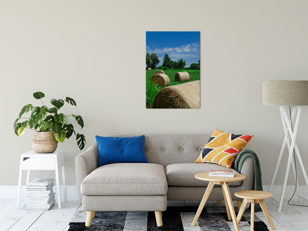 Hay Whatcha Doin in the Field Landscape Photo Canvas Wall Art Print, 24" X 36"