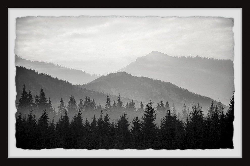 "Pinetree Forest" Framed Painting Print, 24x16