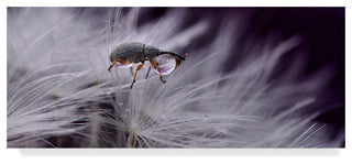 Thierry Dufour 'Arsane Lupine Gentleman Burglar' Canvas Art, 47"x20"