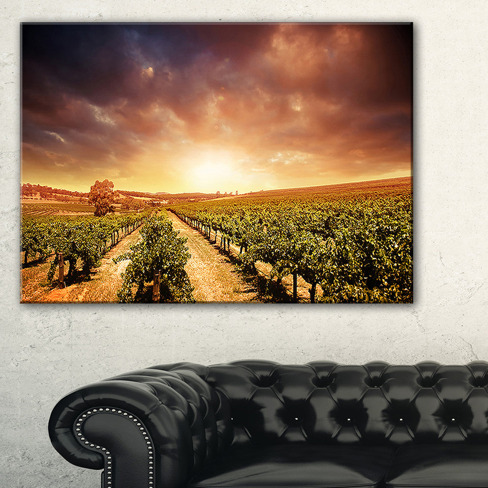 "Vineyard With Stormy Sunset" Wall Art Landscape, 32"x16"