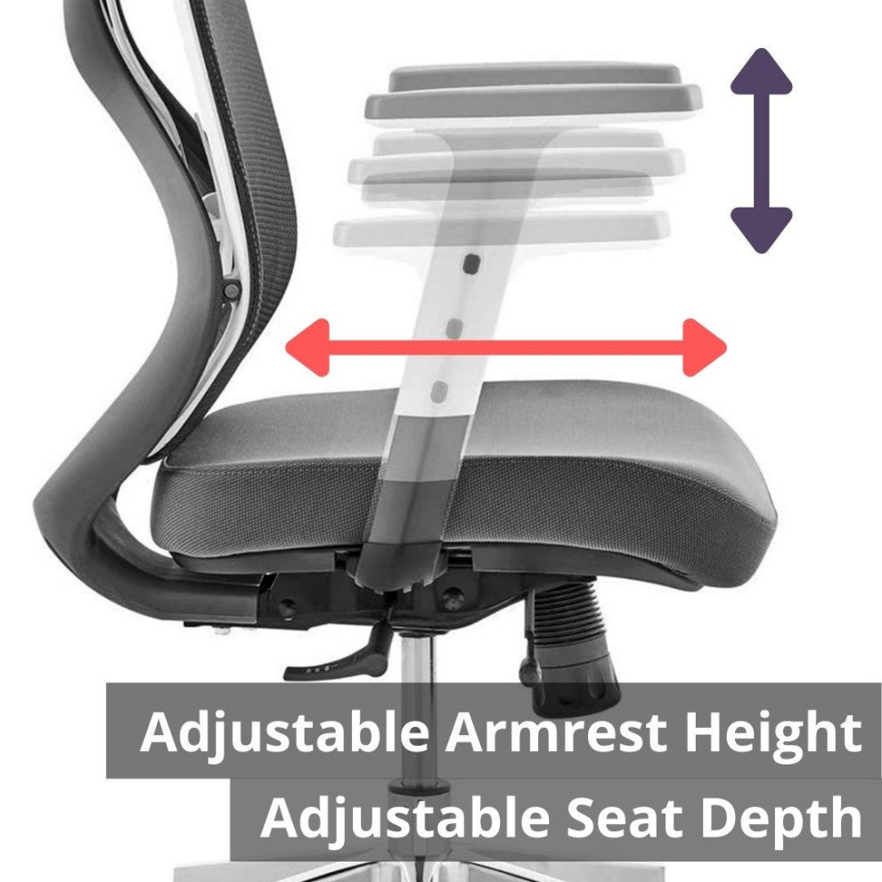 Elite Living Omega Ergonomic Fully Adjustable Home Office Chair