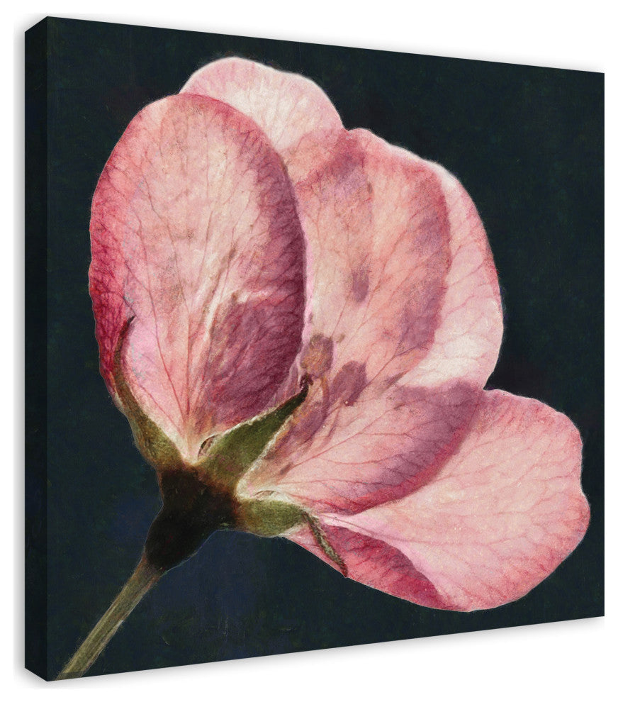 Big Flower Print 30x30 Canvas Wall Art
