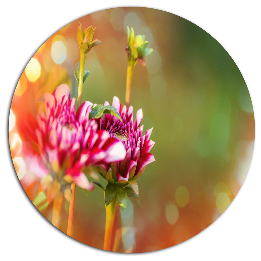 Pink Flowers On Blurred Background, Flower Disc Metal Wall Art, 36"