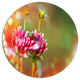 Pink Flowers On Blurred Background, Flower Disc Metal Wall Art, 36"