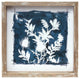 Framed Floral Print, 6-Piece Set