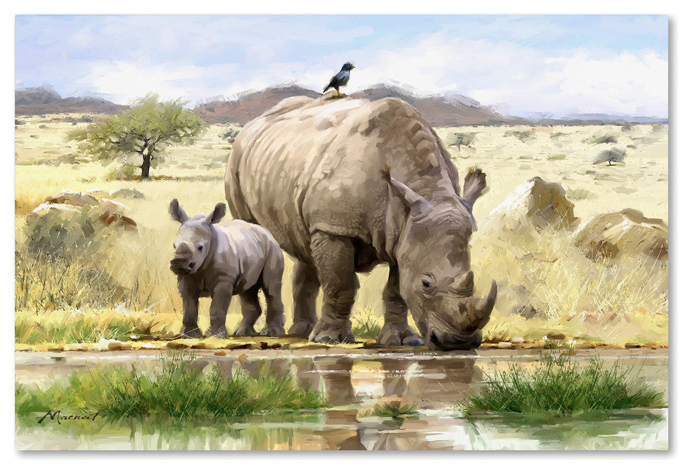 The Macneil Studio 'Rhino' Canvas Art, 19"x12"