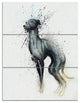 Black Dog Watercolor with Splashes, Animal Canvas Artwork, 28x36, 3 Panels