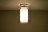 Pahu 1 Light Ceiling Lighting, Satin Nickel, LED
