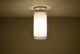 Pahu 1 Light Ceiling Lighting, Satin Nickel, LED