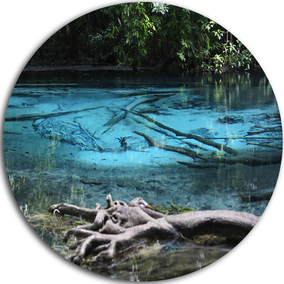 Blue Pond In Deep Forest, Landscape Photo Large Disc Metal Artwork, 11"