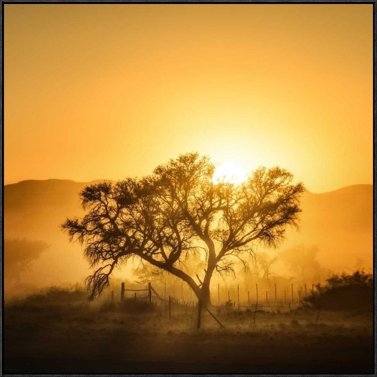 "Golden Sunrise" Framed Canvas Giclee by Piet Flour, 37x37"