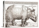 "The Rhinoceros" Artwork, 22" x 17"