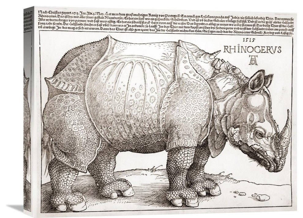 "The Rhinoceros" Artwork, 22" x 17"