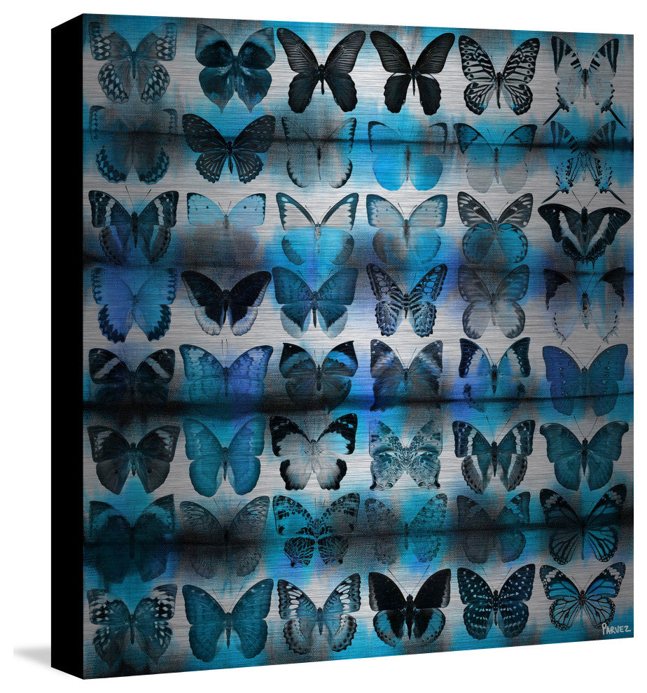 "Moth Blue" Painting Print on Brushed Aluminum, 18"x18"