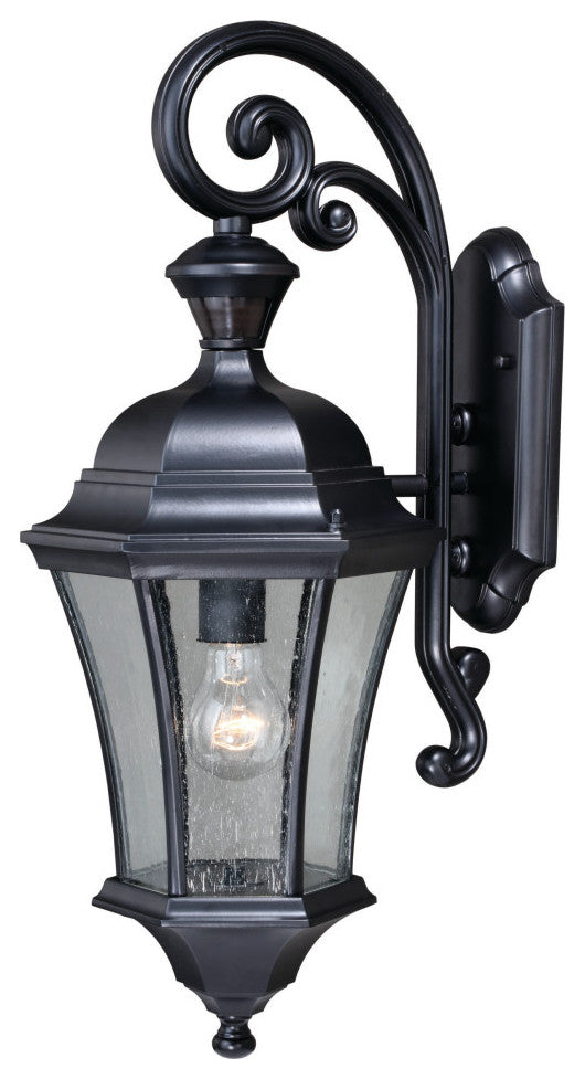 Aberdeen Dualux 10" Outdoor Wall Sconce, Shiny Black