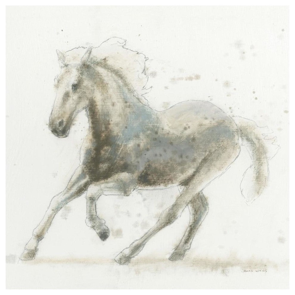 "Stallion II" Digital Paper Print by James Wiens, 42"x42"