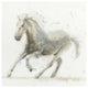 "Stallion II" Digital Paper Print by James Wiens, 42"x42"