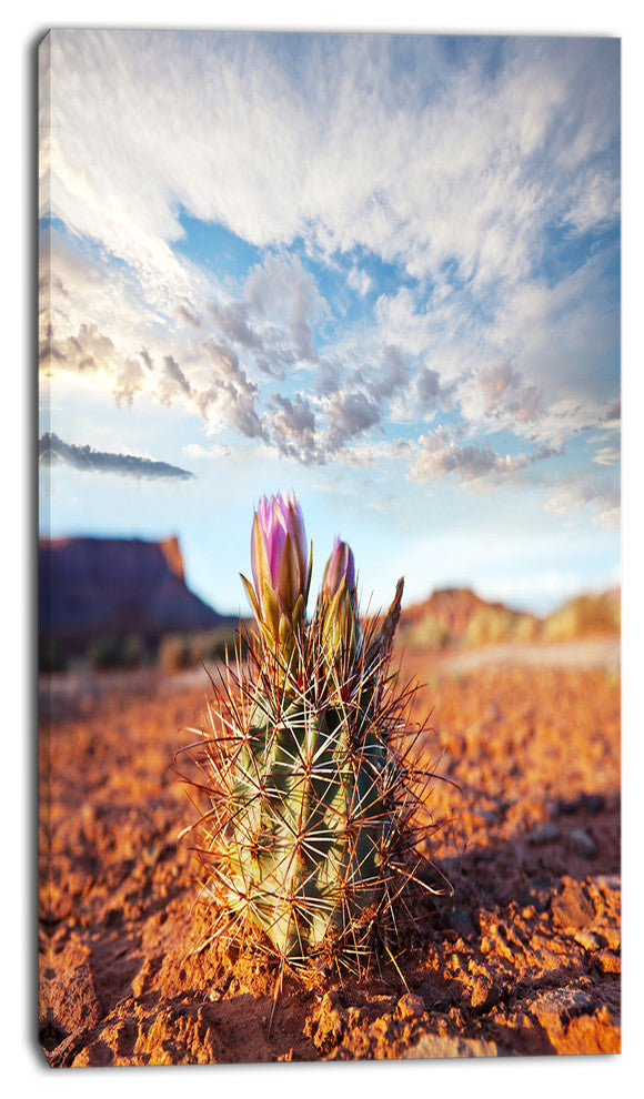 Large Cactus under Cloudy Sky, Floral Canvas Art Print, 16"x32"